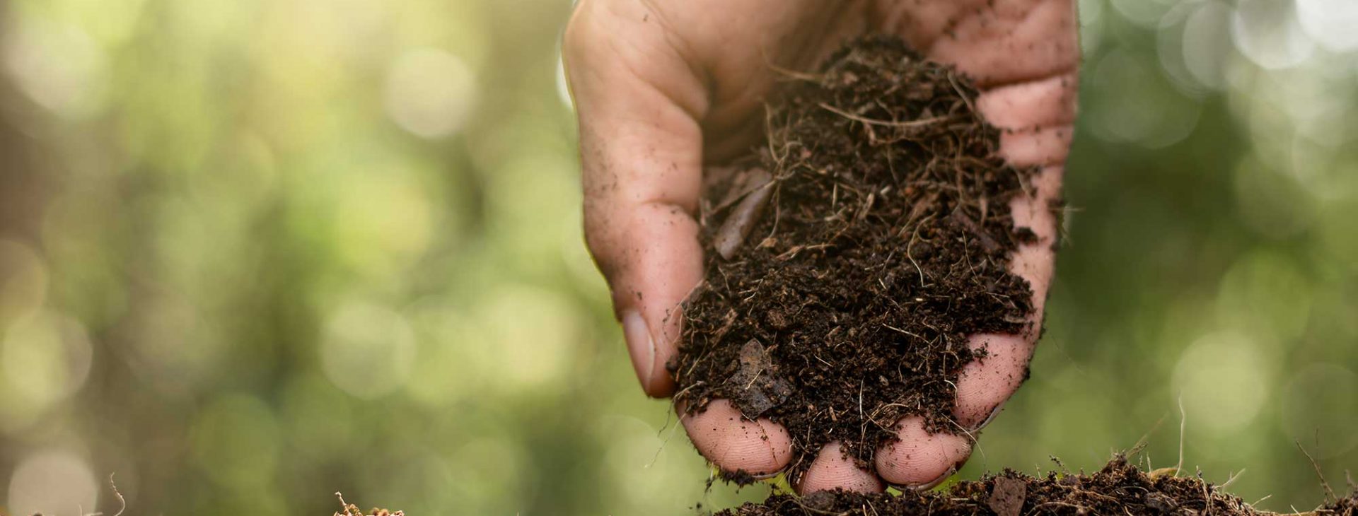 Organic Compost