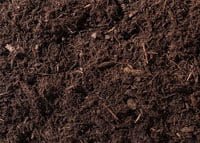 Mushroom Compost 2
